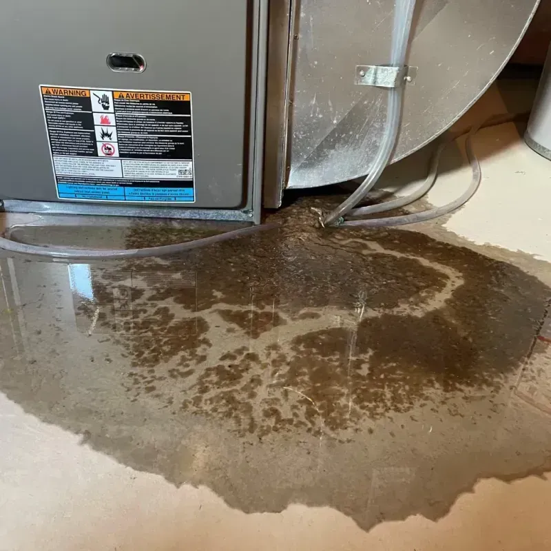 Appliance Leak Cleanup in Oakboro, NC